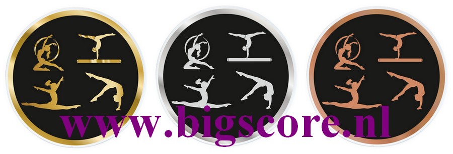 Alles sporten Acyl Ø 70 mm Dik 2,5 mm voor glasstandaards